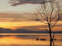 Sunrise Silhouette Stock Footage