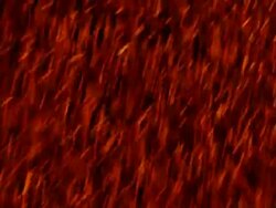 Sparklers Stock Footage