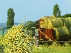 Harvesting Stock Footage