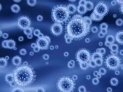 Virus cells Stock Footage