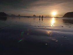 MS SLO MO POV Children and dog playing on beach at sunset / Bandon, Oregon, United States Stock Footage