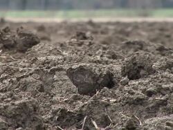 HD: Soil Stock Footage
