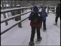 Hiking in Snowshoes Stock Footage