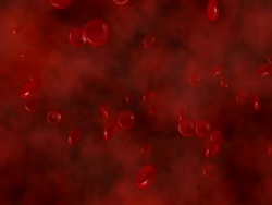 Red Blood Cells and Heartbeat Stock Footage