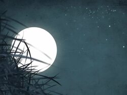 Full Moon And Mysterious Night View Stock Footage