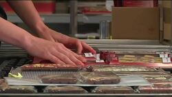 High tech entrepreneurs target Berlin to set up operations News Clip