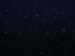 Real dust particles moving in slow motion Stock Footage