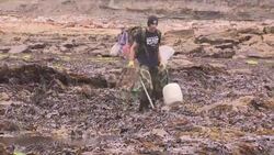 Rubbish clean up along Scarborough coastline News Clip