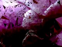 series transcendental fields : from peony, colorful (LOOP) Stock Footage