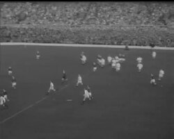 RUGBY - ENGLAND DRAW WITH WALES News Clip