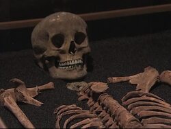 Skeleton exhibition reveals London's ongoing burial problems News Clip