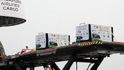 CLEAN: Singapore gives VIP welcome to Chinese pandas News Clip