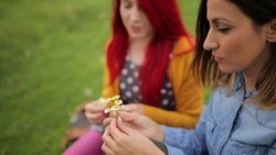 Picking flowers with my best friend Stock Footage