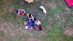 barbecue party Stock Footage