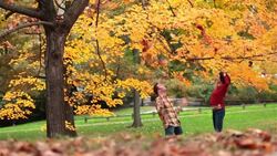 Young couple in Central Park throw leaves into the air and embrace as they fall Stock Footage