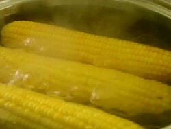 Boiled Corn Stock Footage