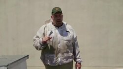 Why urban beekeeping is a rising trend in major cities News Clip