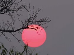 Sunrise Timelapse Stock Footage