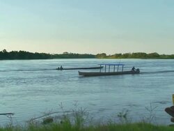Boat along Beni river, Bolivia, Amazon Stock Footage