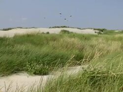 WS View of beach kites flying in dune landscape, North Sea North Frisia, / St. Peter Ording, Schleswig Holstein, Germany Stock Footage