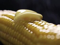 Hot Corn Stock Footage