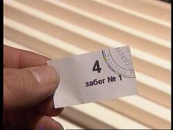 Russia - Cockroach Races Alternative To Elections News Clip