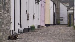 A cat lounges at the end of a deserted village alley. Stock Footage