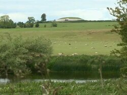 WS View of river and sheep / Slane, County Meath, ireland  Stock Footage