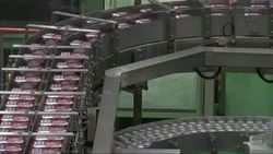 Cómo conviven en Japón trabajadores y robots Instructional Video