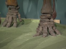 Woolly Mammoth Remains at National History Museum News Clip