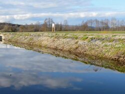 Senior on the bike Stock Footage