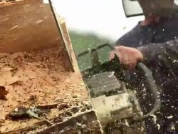 Hand held close up of man sawing a log. Stock Footage