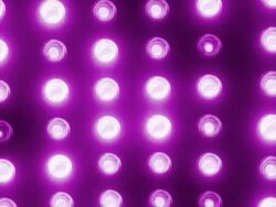 Party Lights (Loopable) Stock Footage