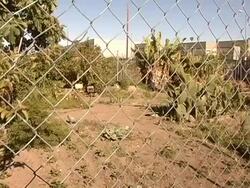 Campaign to Save a Farm by Rosanna Arquette and Daryl Hannah Stock Footage