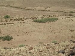Rocks in the foreground give way to wide expanse of a Moroccan landscape.  Stock Footage