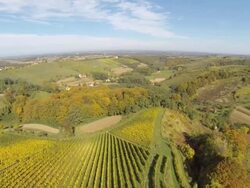 HD: Aerial Shot Of Viniferous Region Stock Footage