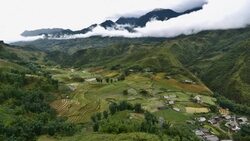 terraced rice field in Sapa, Vietnam Stock Footage