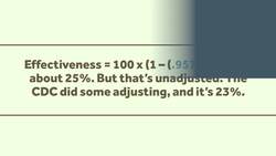 The Flu Vaccine is Effective Instructional Video