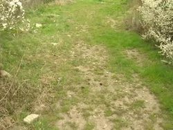 Dried Up River bed in Berkshire News Clip