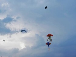 Kites in the blue sky with clouds Stock Footage