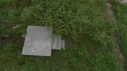 Scrub grass surrounds a solitary concrete stairway in a field that is a remnant of Hurricane Katrina destruction. Stock Footage