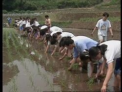 JAPAN: SCHOOLCHILDREN HELP FAMINE STRICKEN NORTH KOREA Instructional Video