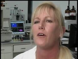 An investigation by the Associated Press finds herbal impotency pills are emerging as a major public health concern. News Clip