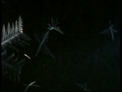 CU time lapse ice crystals growing from top to bottom of frame Stock Footage