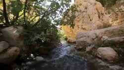 traveling shot, En Prat Nature reserve, Wadi Qelt, running west to east across the Judaean Desert in the West Bank/ Steady Cam Shot Stock Footage