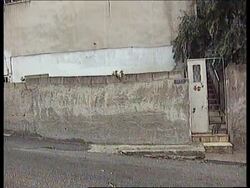 JORDAN: IRAQ CONDEMNED OVER THE EXECUTIONS OF 4 JORDANIANS News Clip