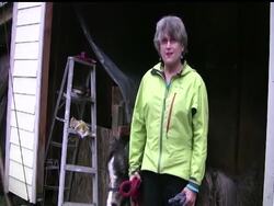 Washington couple, Donna Landry and Patrick Talmadge, are one of many horse lovers across the country who have adopted minihorses as their suburban pets in the past couple of decades. News Clip