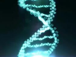 dna structure Stock Footage
