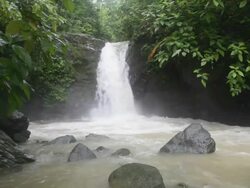 Rain Forest Waterfall Stock Footage