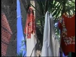 120 dresses owned by famous artist on display News Clip